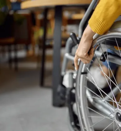 universalus dizainas, svetainių pritaikymas, ANTA STASIS IS